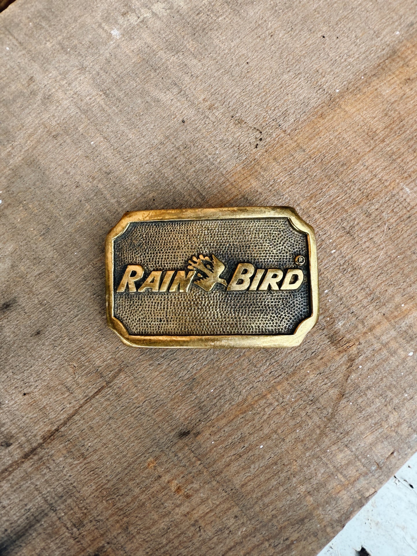 SOLID BRASS "RAIN BIRD" BELT BUCKLE