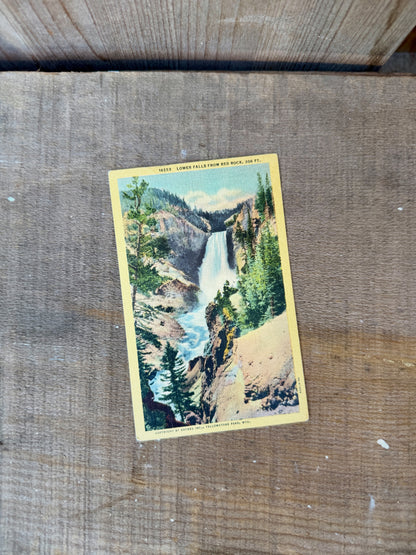 YELLOWSTONE VINTAGE POSTCARD