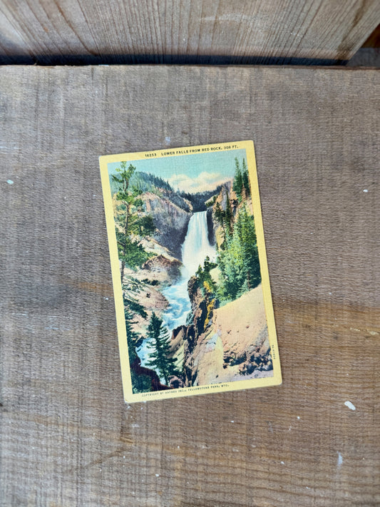 YELLOWSTONE VINTAGE POSTCARD