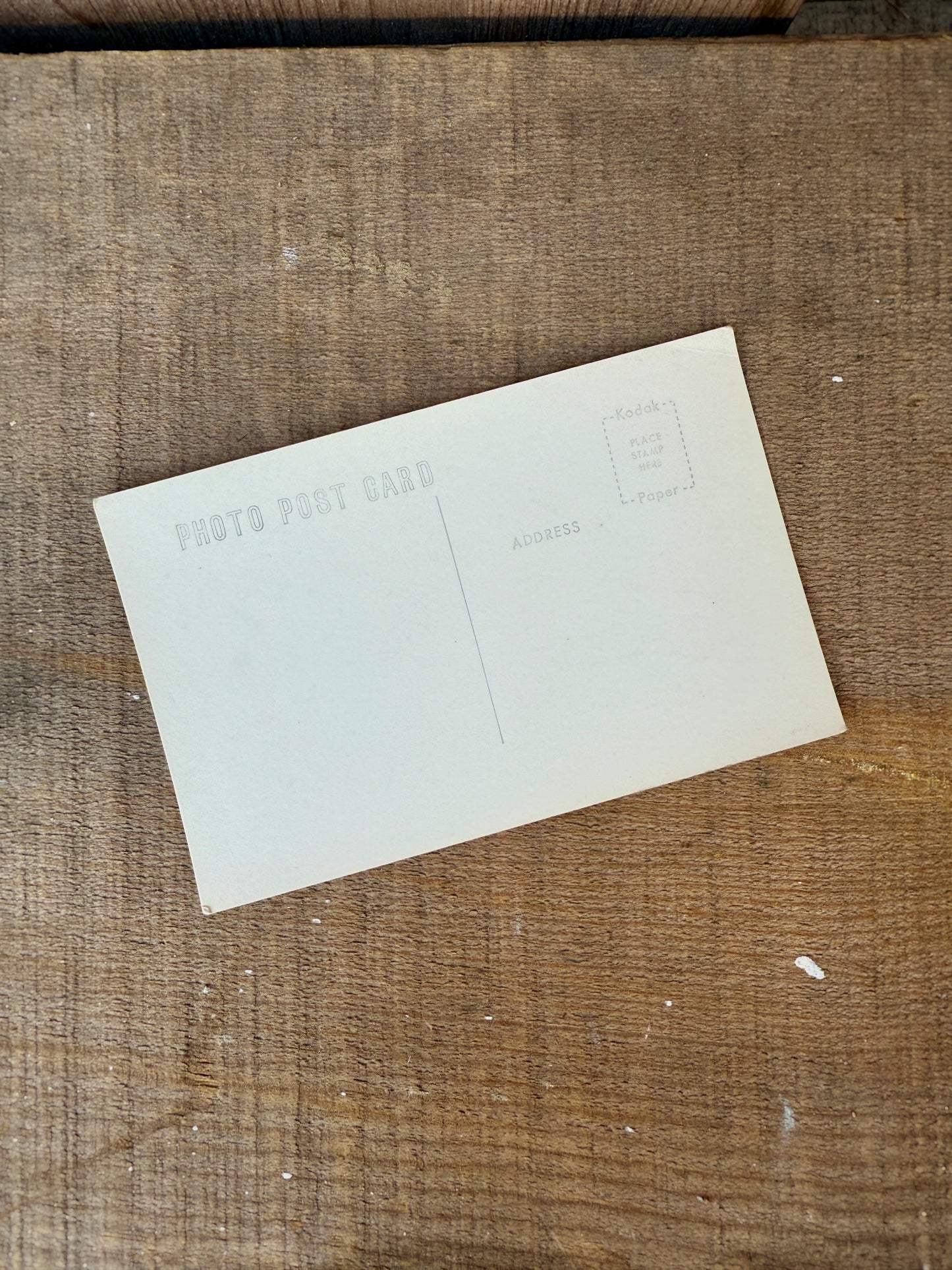 MARIPOSA GROVE VINTAGE POSTCARD