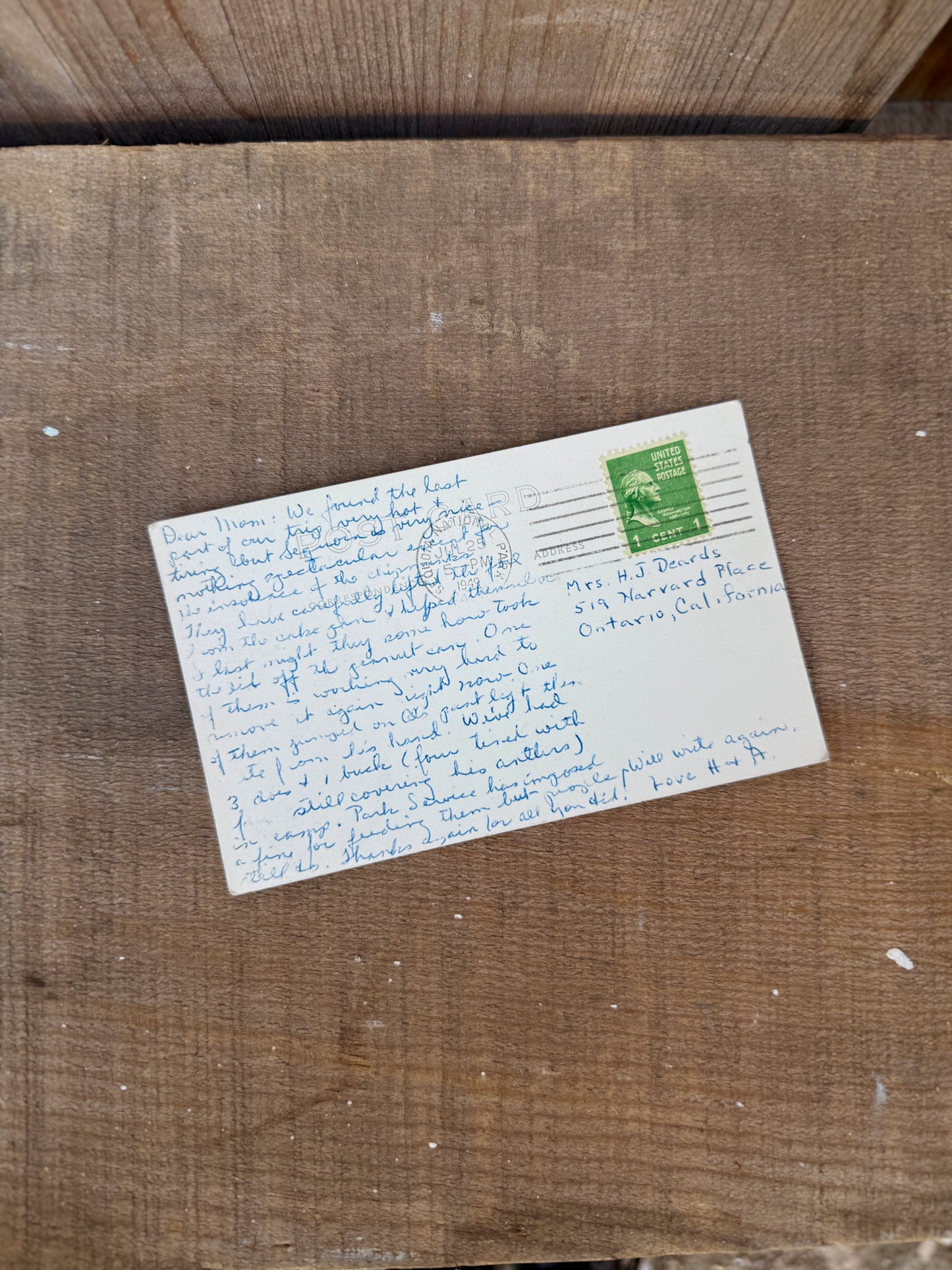 SEQUOIA NAT'L PARK VINTAGE POSTCARD