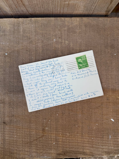 SEQUOIA NAT'L PARK VINTAGE POSTCARD