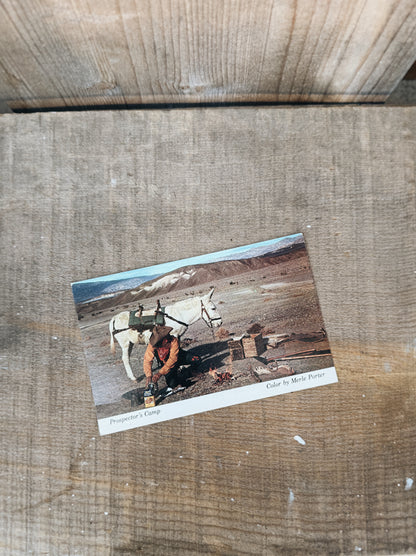 PROSPECTOR VINTAGE POSTCARD