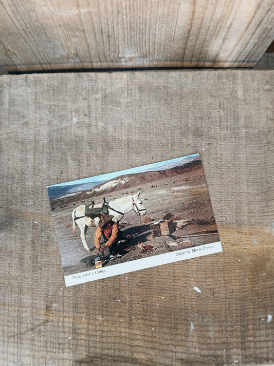 PROSPECTOR VINTAGE POSTCARD