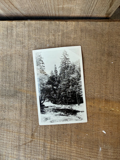 YOSEMITE VINTAGE POSTCARD